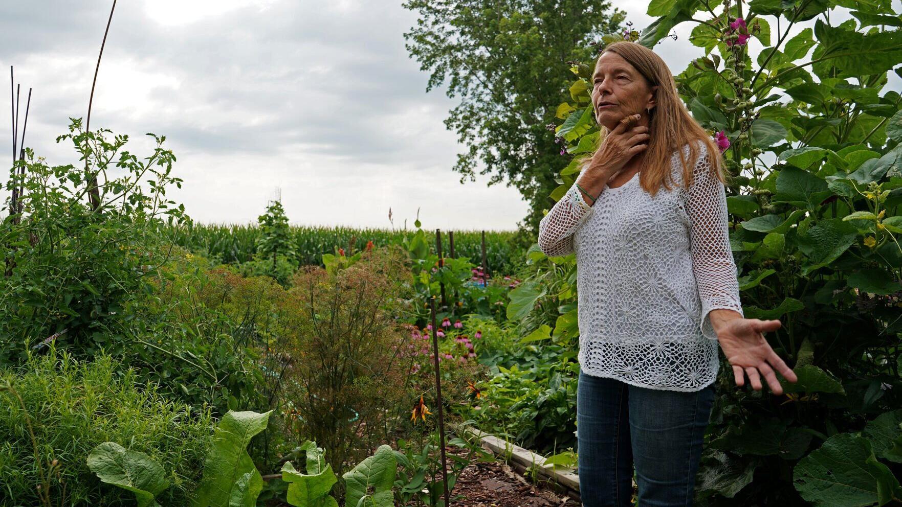 What's going on with a massive Nebraska solar farm project?